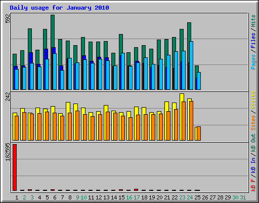 Daily usage for January 2010