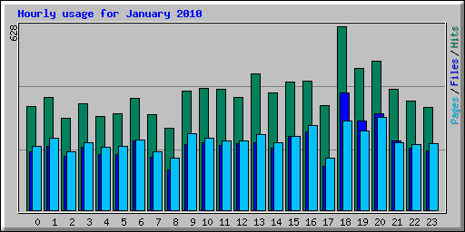 Hourly usage for January 2010